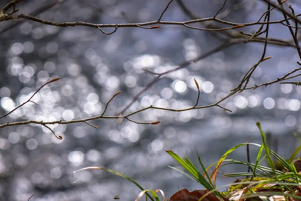 Fiume Montagna Primavera — Foto Stock