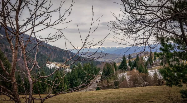 Primavera Nei Carpazi — Foto Stock