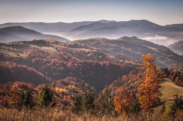 Landskap Hösten Karpaterna — Stockfoto