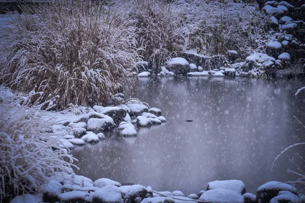 冬の人工装飾池 — ストック写真