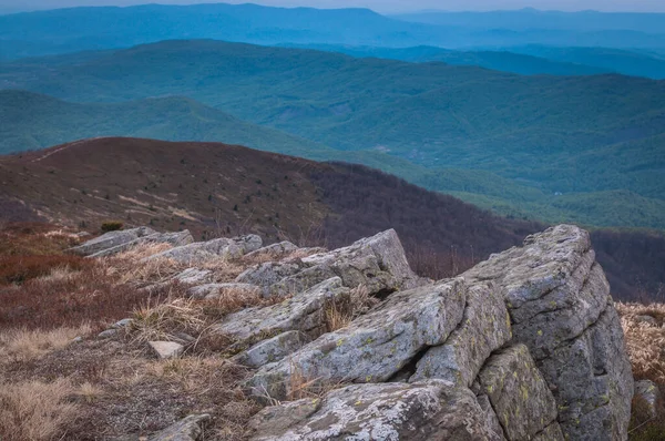 Spring Carpathians — Stok Foto