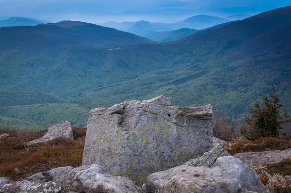 Spring Carpathians — Stok Foto