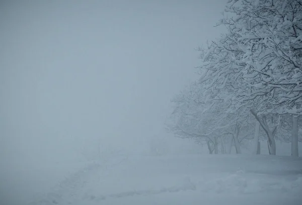 Vinter Karpaterna — Stockfoto