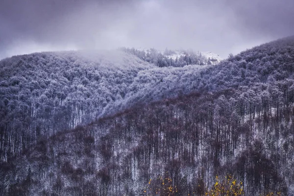 Peisaje Din Munții Carpați Toamnă — Fotografie, imagine de stoc