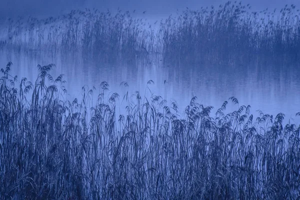 Горное Озеро Зимой — стоковое фото