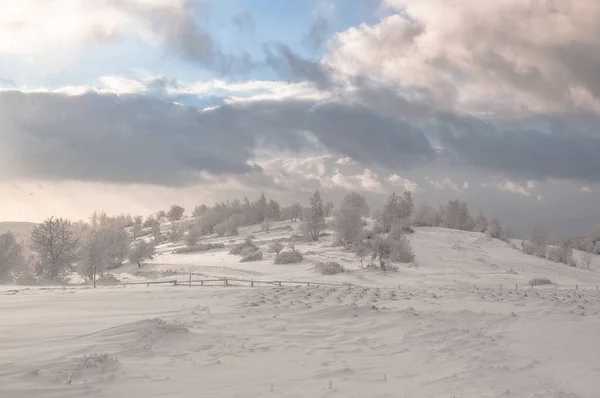 Vinter Karpaterna — Stockfoto