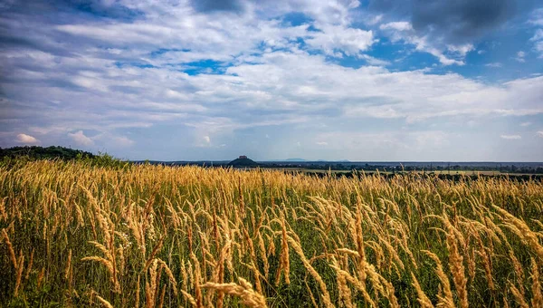 Sonbaharda kırsalda tarla