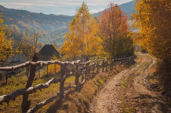 Осінь Селі — стокове фото