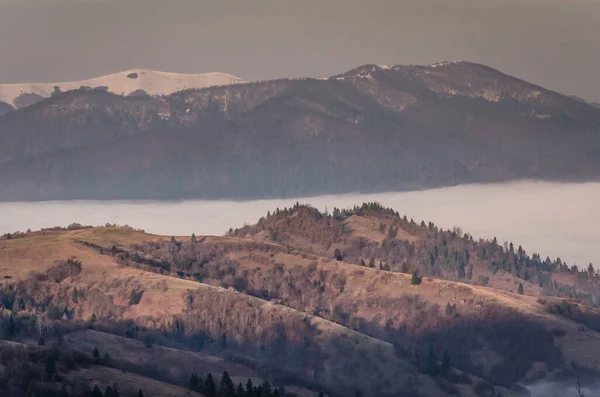 Primăvara Carpaţi — Fotografie, imagine de stoc