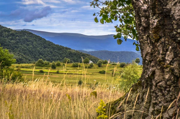 Été Dans Les Carpates — Photo