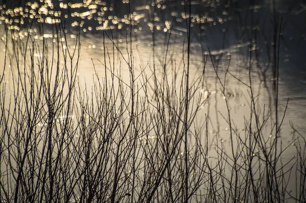 Jezioro Wiosna Zakarpaciu — Zdjęcie stockowe