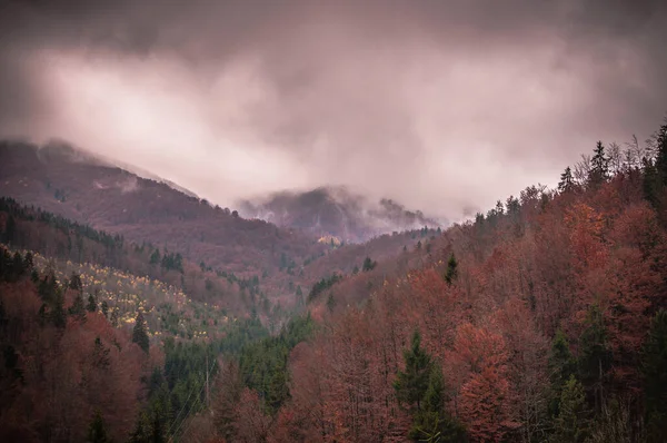 Paysages Des Carpates Automne — Photo