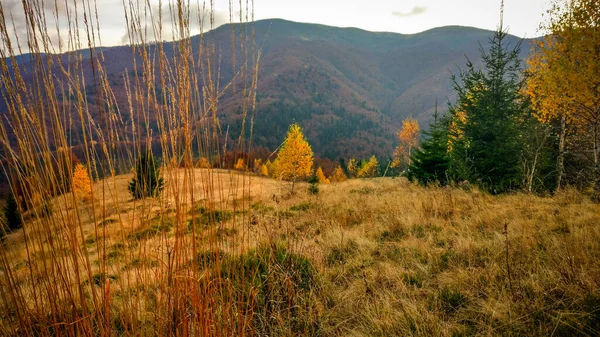 Landschaften Der Herbstkarpaten — Stockfoto