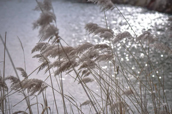 Lago Montanha Inverno — Fotografia de Stock