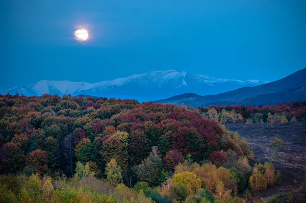 Paisajes Los Cárpatos Otoño —  Fotos de Stock