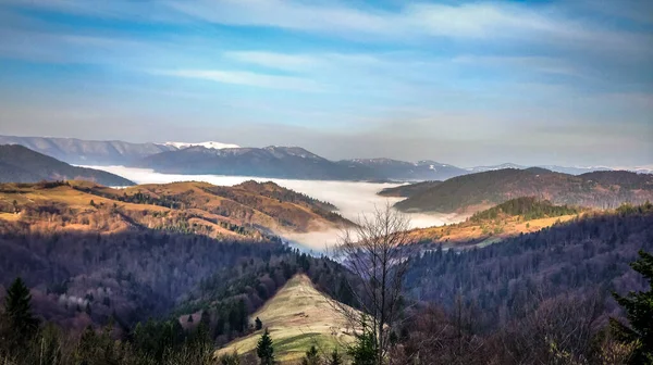 Primăvara Carpaţi — Fotografie, imagine de stoc