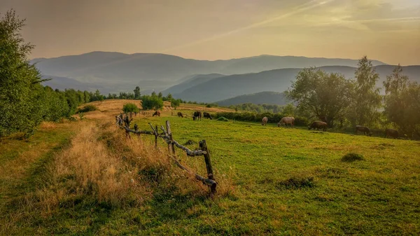 Ландшафти Осінніх Карпат — стокове фото