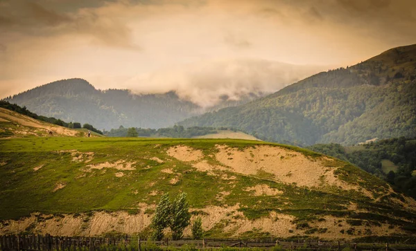 Estate Nei Carpazi — Foto stock gratuita