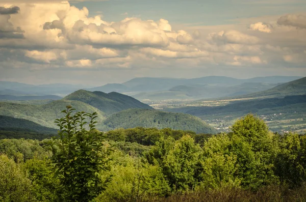 Літо Карпатах — стокове фото