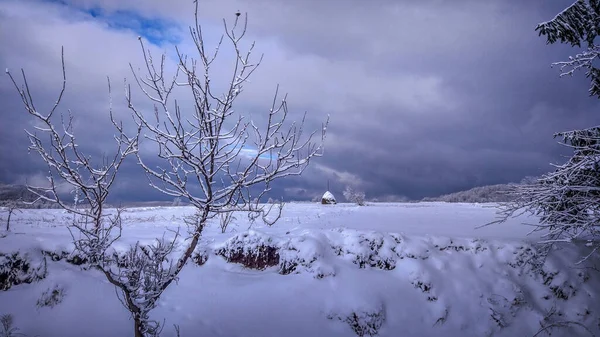 Invierno Los Cárpatos —  Fotos de Stock