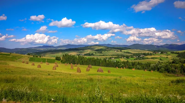 在喀尔巴阡山脉的夏天 — 图库照片