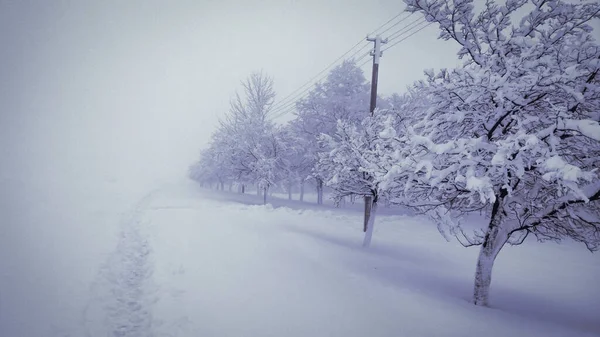 Winter Karpaten — Stockfoto