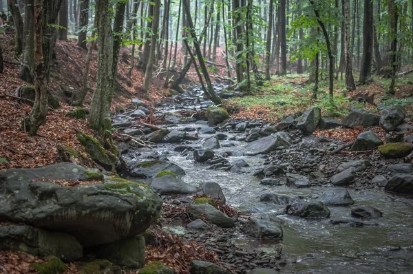 Rivière Montagne Été — Photo