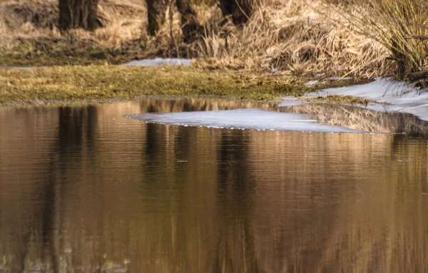 Bergfluss Frühling — Stockfoto