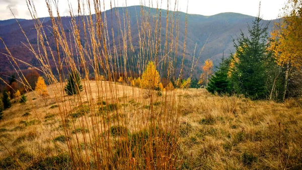 Landschaften Der Herbstkarpaten — Stockfoto