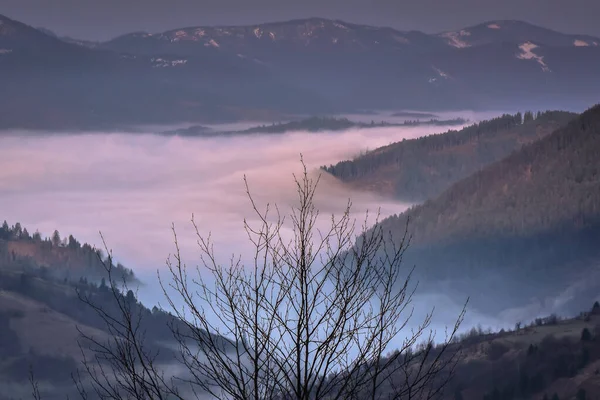 Primăvara Carpaţi — Fotografie, imagine de stoc