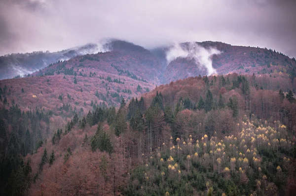 Krajiny Podzimních Karpat — Stock fotografie