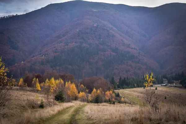 Пейзажи Осенних Карпат — стоковое фото