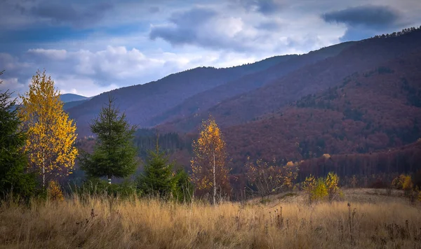 Ландшафти Осінніх Карпат — стокове фото