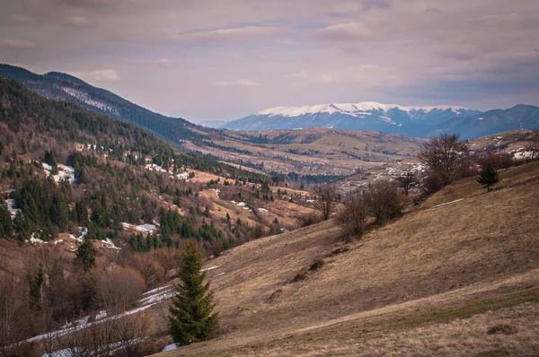 Весна Карпатах — стокове фото