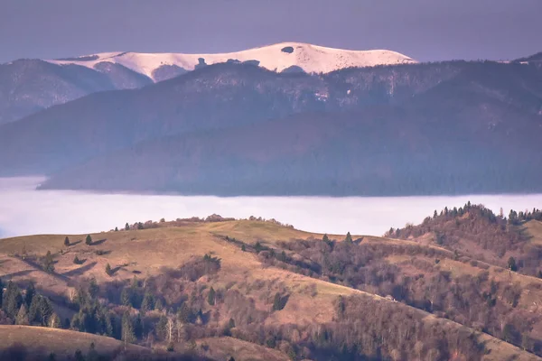 Весна Карпатах — стоковое фото