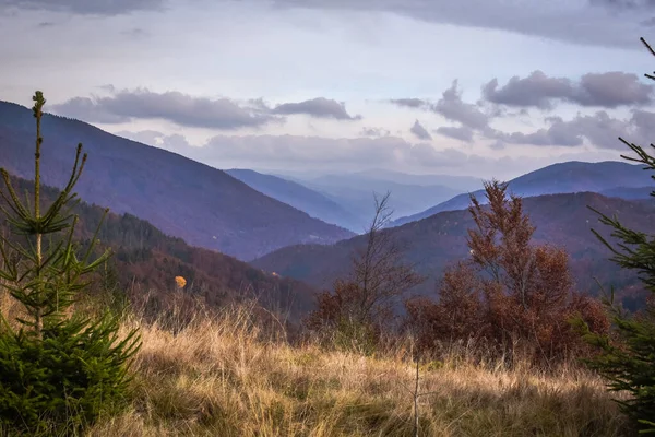 Paesaggi Dei Carpazi Autunnali — Foto Stock