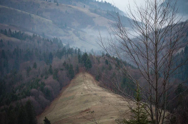 Primăvara Carpaţi — Fotografie, imagine de stoc