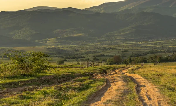 Spring Carpathians — Foto Stok Gratis