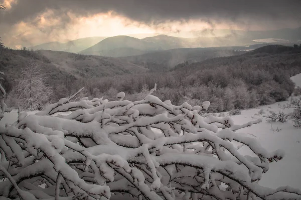 Iarna Carpați — Fotografie, imagine de stoc