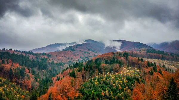 秋のカルパチア山脈の風景 — ストック写真