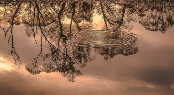 Paisagens Outono Lagos Rios Cárpatos — Fotografia de Stock