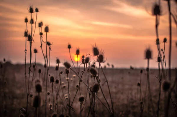 Landschaften Der Herbstkarpaten — Stockfoto