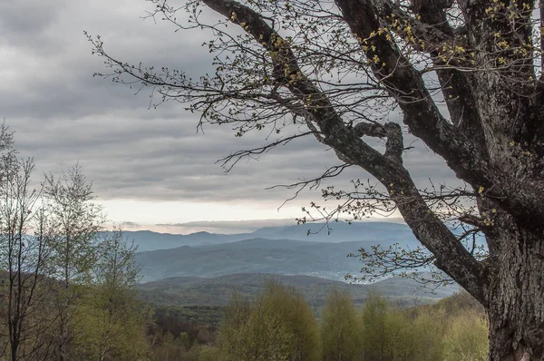 Primăvara Carpaţi — Fotografie, imagine de stoc