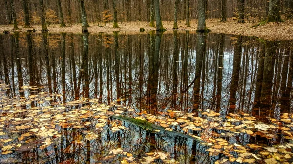 Landscapes of autumn Carpathian lakes and rivers