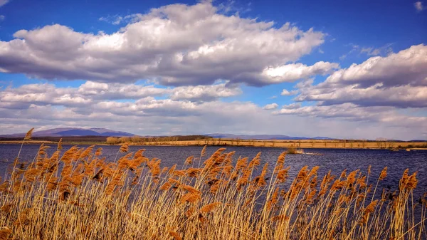 Lacul Muntos Primăvara — Fotografie, imagine de stoc