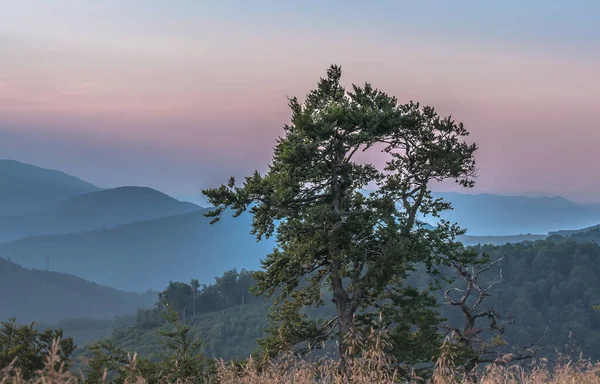 Karpatlar 'da Aşçı Dağı