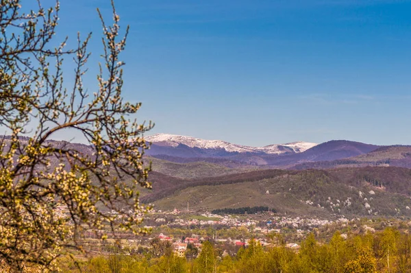 Våren Karpaterna — Stockfoto