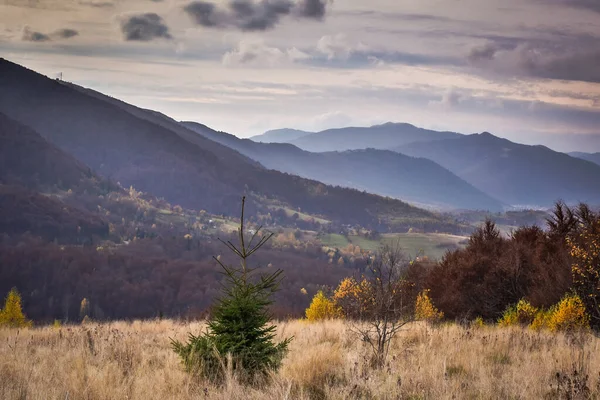 Peisaje Din Munții Carpați Toamnă — Fotografie, imagine de stoc