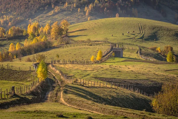 Caii Munții Toamnă — Fotografie, imagine de stoc