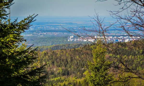 Våren Karpaterna — Stockfoto